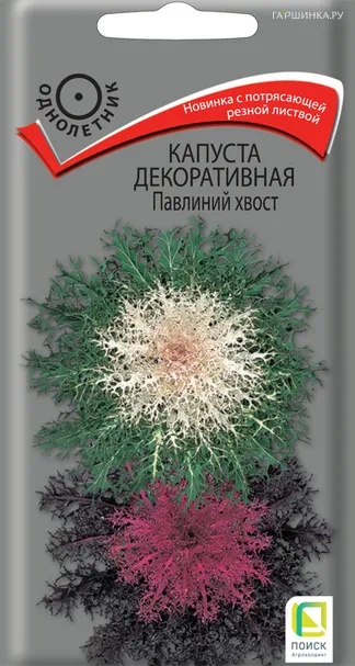 Декоративная капуста Павлиний хвост 7, Семена Поиск