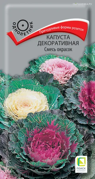 Декоративная капуста Смесь окрасок 0,25, Семена Поиск