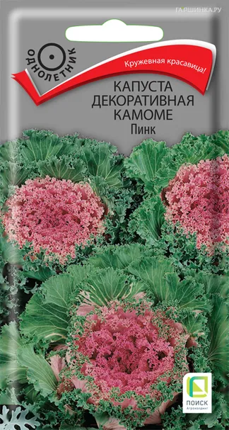 Декоративная капуста Камоме Пинк 10, Семена Поиск