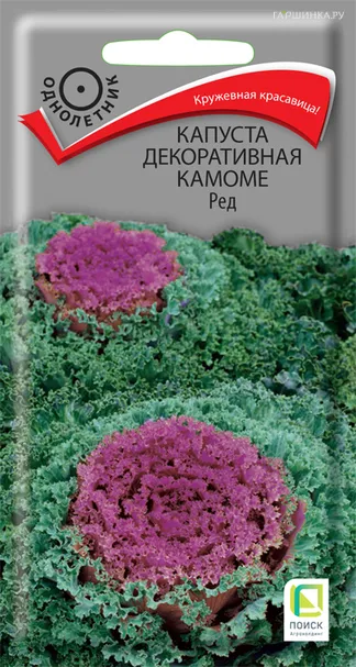 Декоративная капуста Камоме Ред 10, Семена Поиск