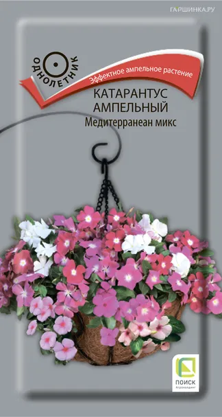 Катарантус ампельный Медитерранеан Микс 10, Поиск