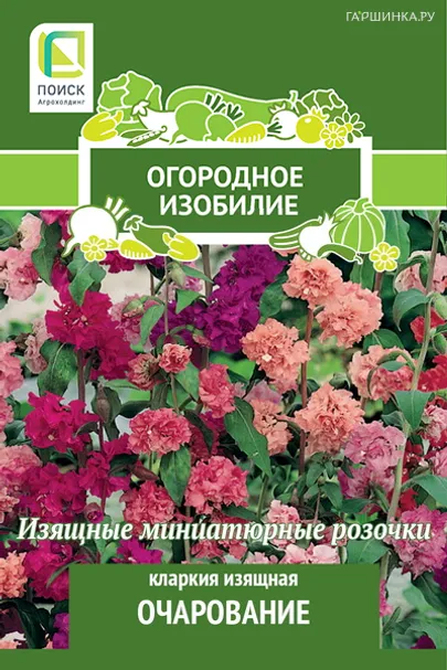 Кларкия изящная Очарование 0,2, Семена Поиск