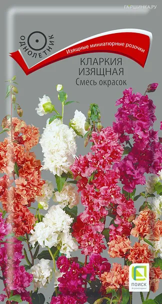 Кларкия изящная Смесь окрасок 0,2, Поиск