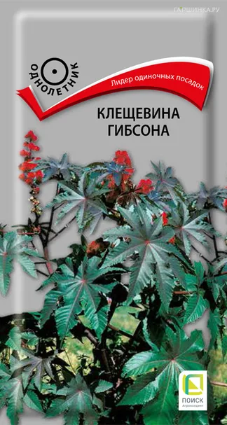 Клещевина Гибсона 2, Семена Поиск
