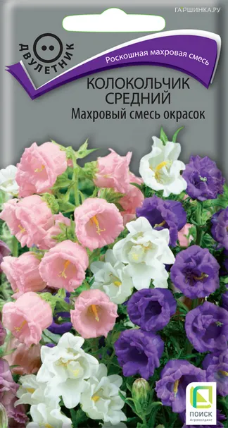 Колокольчик средний Махровый смесь окрасок 0,1, Поиск