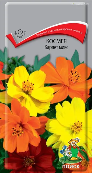 Космея Карпет микс 0,2, Поиск