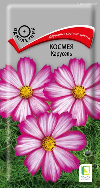 Космея Карусель 0,2, Поиск