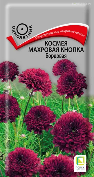 Космея Махровая кнопка Бордовая 0,1 г, Семена Поиск