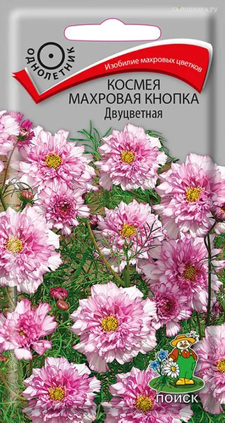 Космея Махровая кнопка Двуцветная 0,1 г, Семена Поиск