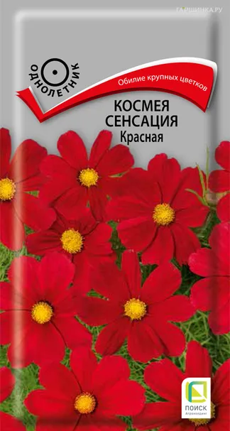 Космея Сенсация Красная 0,3, Поиск
