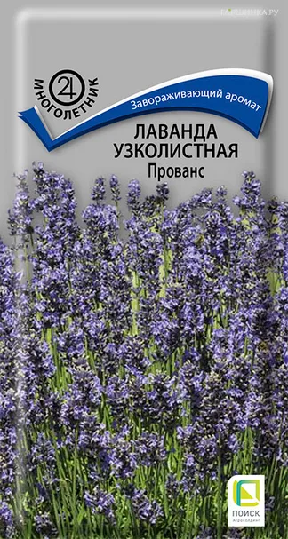 Лаванда узколистная Прованс 0,1, Поиск