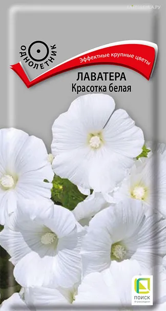 Лаватера Красотка белая 0,3, Поиск