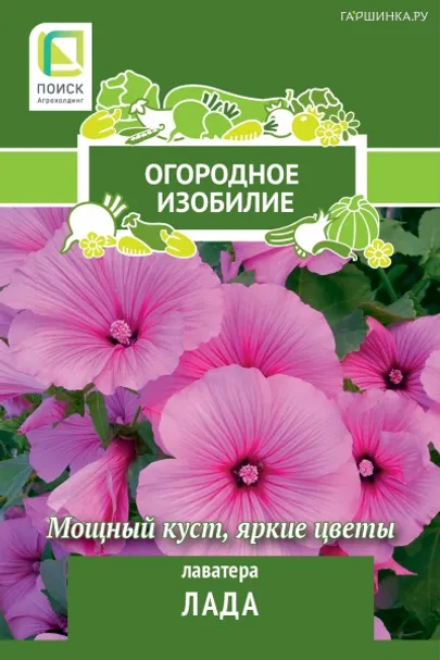 Лаватера Лада 0,3 г, Семена Поиск