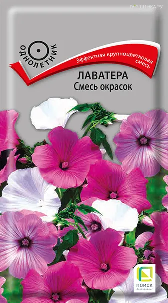 Лаватера Смесь окрасок 0,5, Поиск