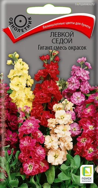 Левкой седой Гигант смесь окрасок 0,1 г, Семена Поиск