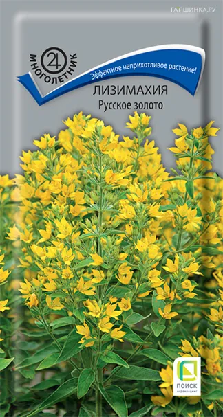 Лизимахия Русское золото 0,05 г, Семена Поиск