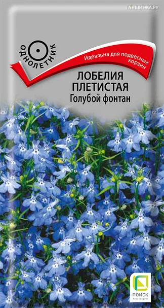 Лобелия плетистая Голубой фонтан 0,1, Поиск