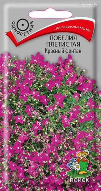 Лобелия плетистая Красный фонтан 0,1, Поиск