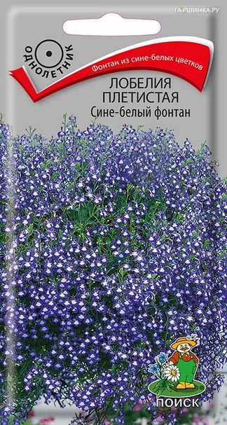 Лобелия плетистая Сине-белый фонтан 0,1, Поиск