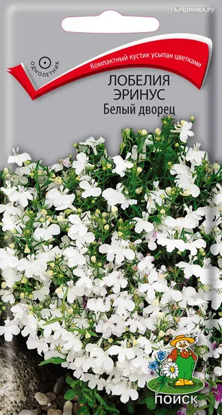 Лобелия эринус Белый дворец 0,1, Поиск