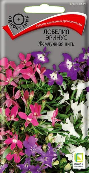 Лобелия эринус Жемчужная нить 0,1, Поиск
