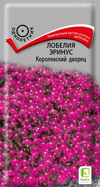 Лобелия эринус Королевский дворец 0,1, Поиск