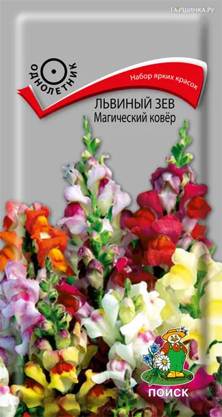 Львиный зев Магический ковер 0,3, Поиск