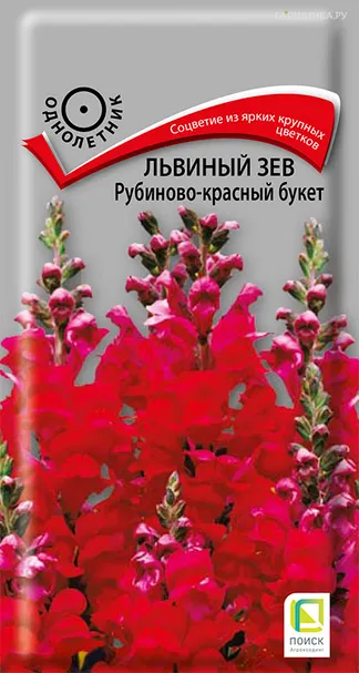 Львиный зев Рубиново-красный букет 0,1, Поиск