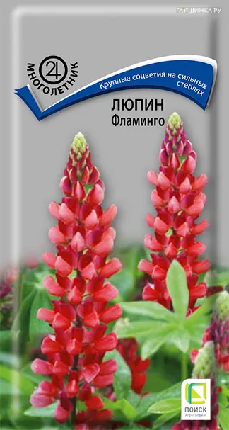 Люпин Фламинго 1 г, Семена Поиск