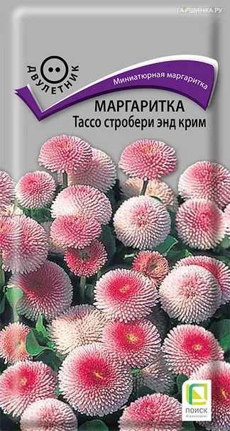 Маргаритка Тассо Стробери энд Крим 20 шт, Семена Поиск