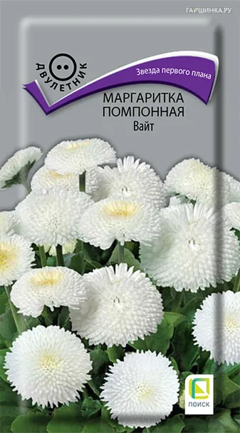 Маргаритка помпонная Вайт 0,05, Поиск