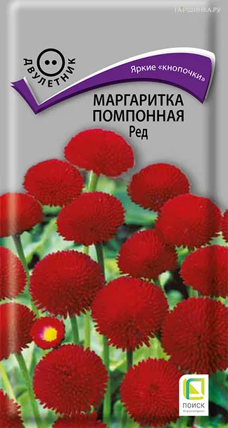 Маргаритка помпонная Ред 0,05, Поиск