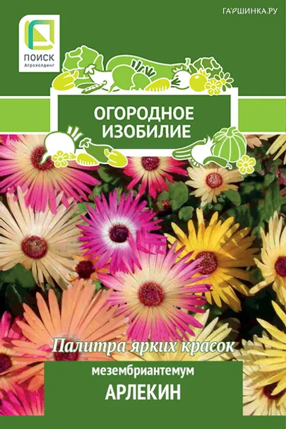 Мезембриантемум Арлекин 0,3, Семена Поиск