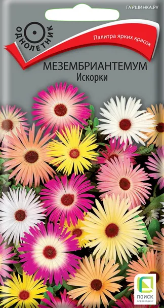 Мезембриантемум Искорки 0,3, Семена Поиск