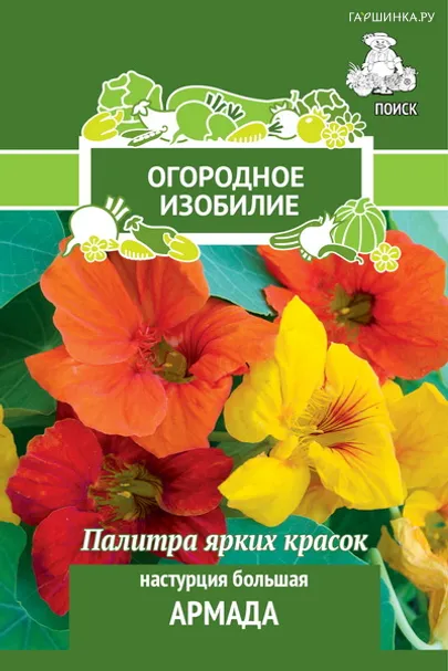 Настурция большая Армада 2, Поиск