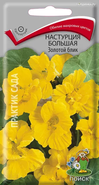 Настурция большая Золотой блик 1, Поиск
