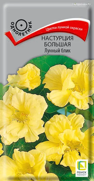Настурция большая Лунный блик 1, Поиск