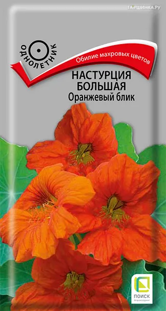 Настурция большая Оранжевый блик 1, Поиск