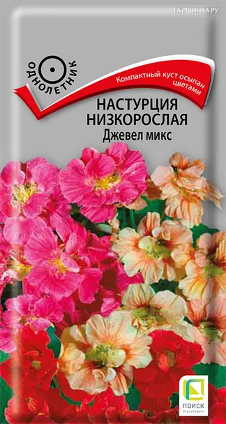 Настурция низкорослая Джевел микс 2, Поиск
