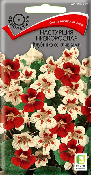 Настурция Клубника со сливками низкорослая 1 г, Семена Поиск