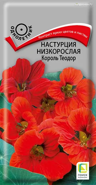 Настурция низкорослая Король Теодор 1, Поиск