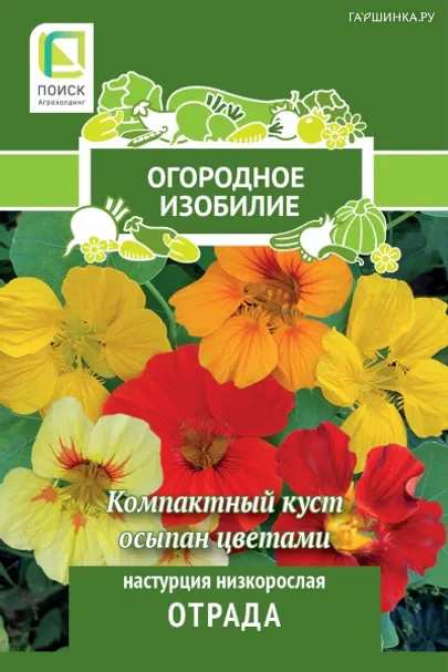 Настурция низкорослая Отрада 1, Поиск