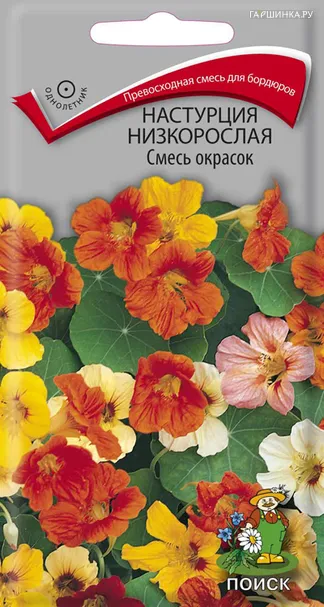 Настурция низкорослая Смесь окрасок 3, Поиск