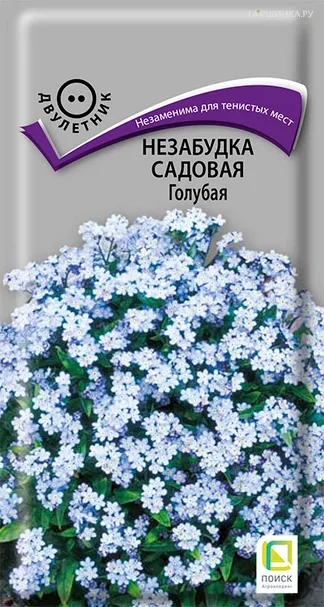 Незабудка садовая Голубая 0,2, Поиск