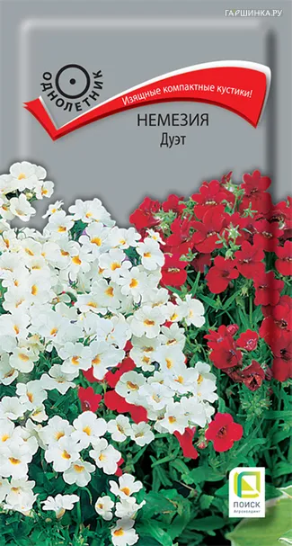 Немезия Дуэт 0,05, Поиск