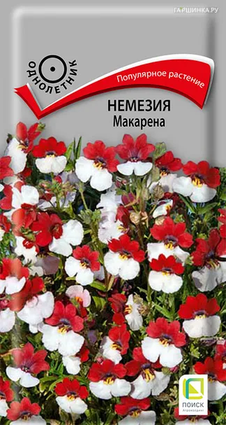 Немезия Макарена 0,05, Поиск