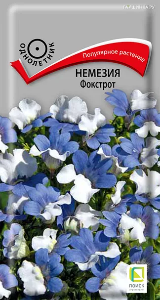 Немезия Фокстрот 0,05, Поиск