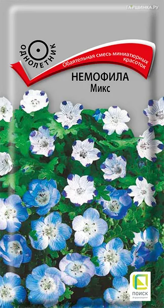 Немофила Микс 0,1 г, Семена Поиск