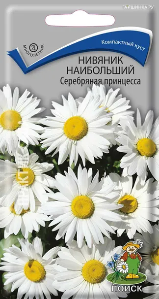 Нивяник наибольший Серебряная принцесса 0,15, Поиск