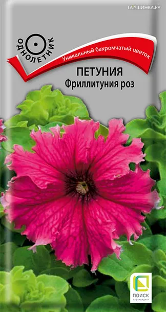 Петуния Фриллитуния роз 10, Семена Поиск